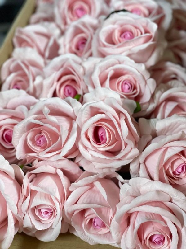 Rosa fløyel rose