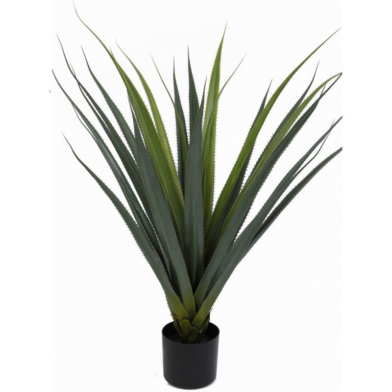 Kaktus plante H:96cm