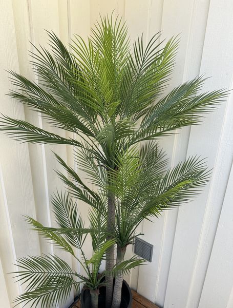 Slim Palm Triple Trunk Outdoor UV Protected 180CM