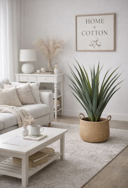 Kaktus plante H:96cm