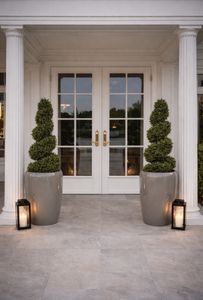 Hovedbilde  Spiral Buxbom H:120cm